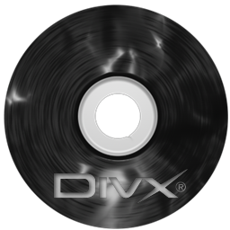 Plastic CD Divx Icon 256x256 png